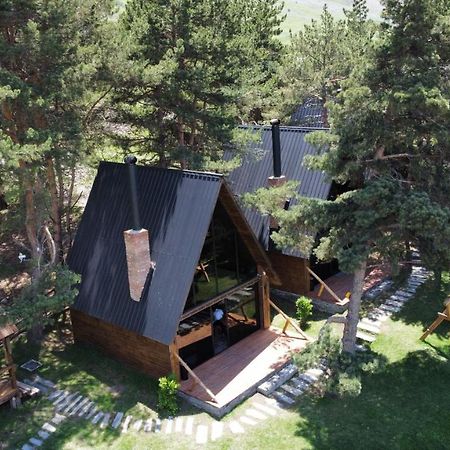 Elia Loft Βίλα Kazbegi Εξωτερικό φωτογραφία