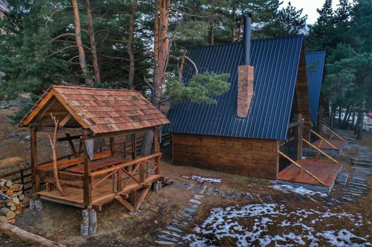 Elia Loft Βίλα Kazbegi Εξωτερικό φωτογραφία